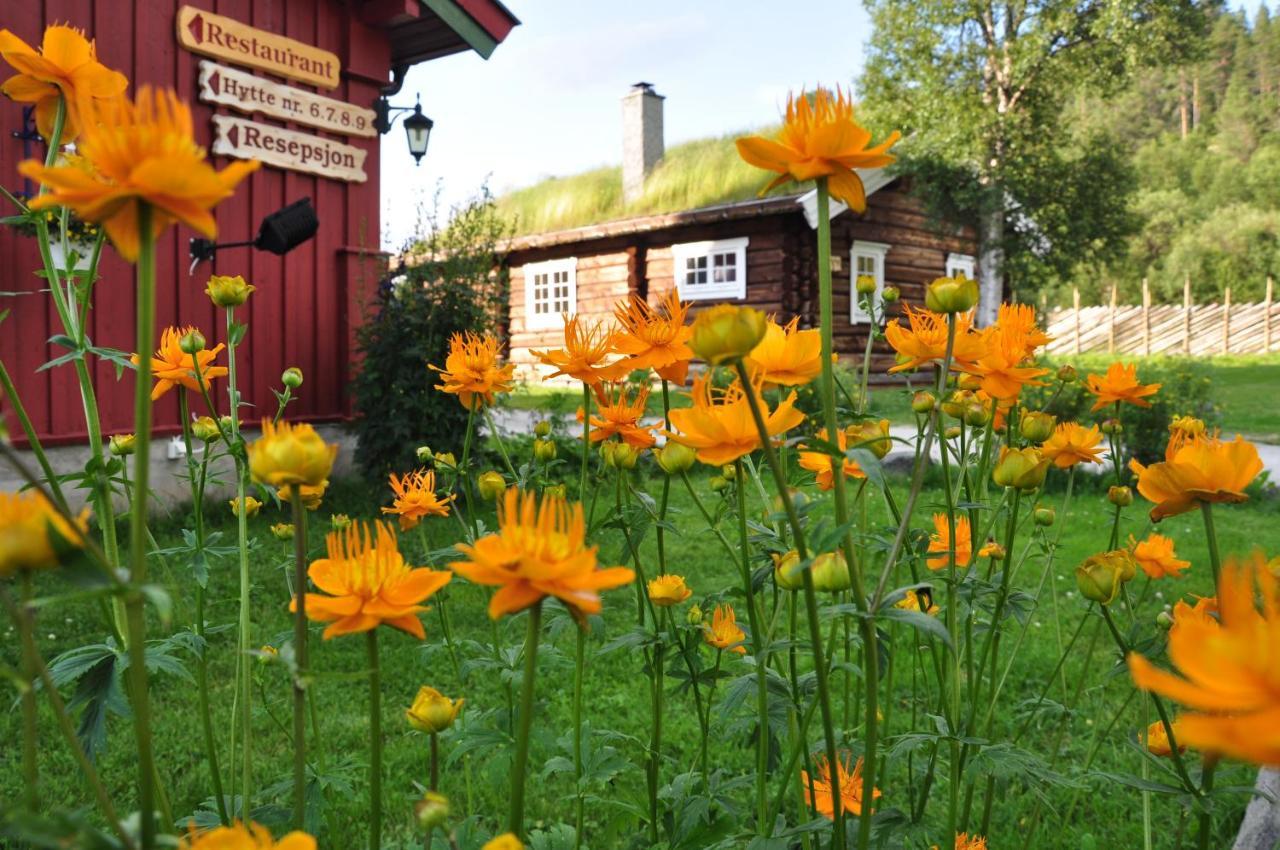 Rondane River Lodge - Rondane Gjestegard Enden Esterno foto