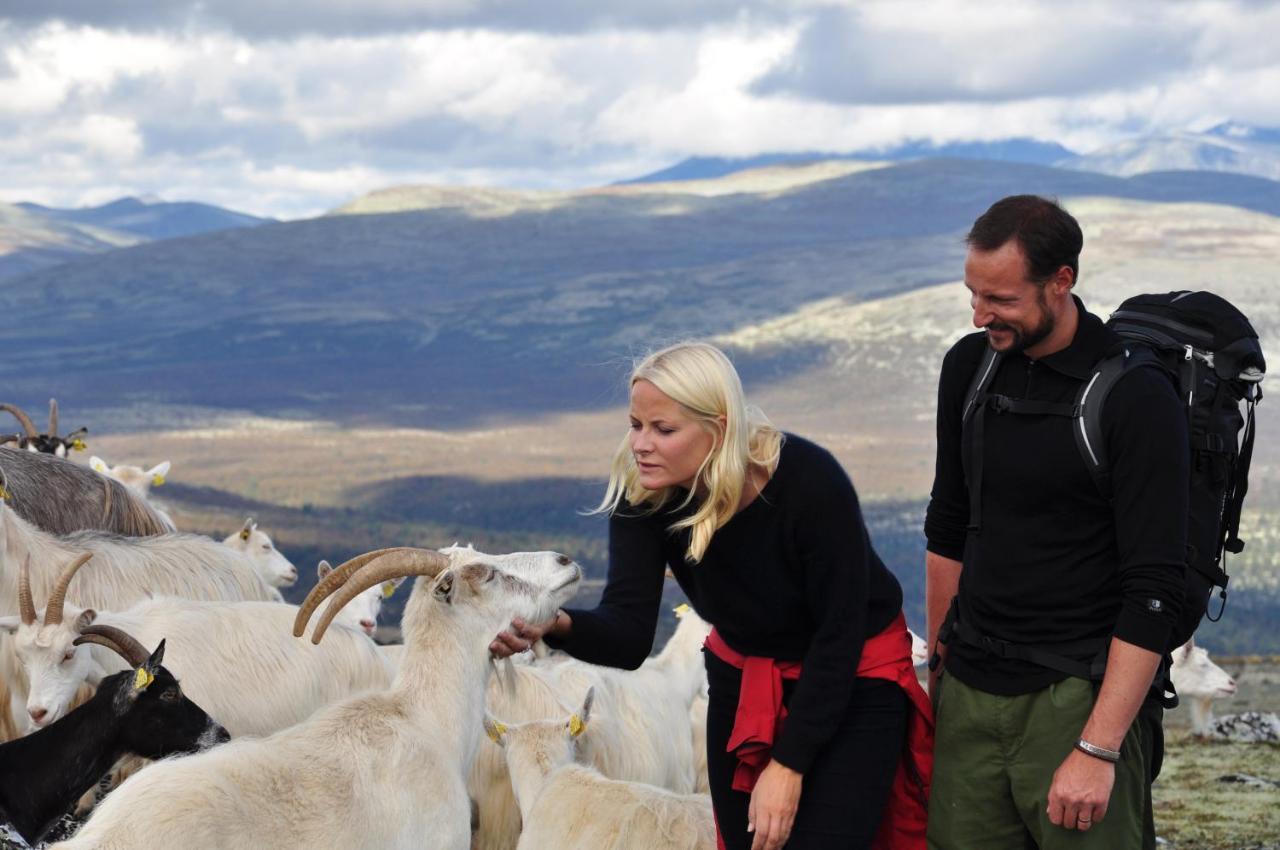 Rondane River Lodge - Rondane Gjestegard Enden Esterno foto