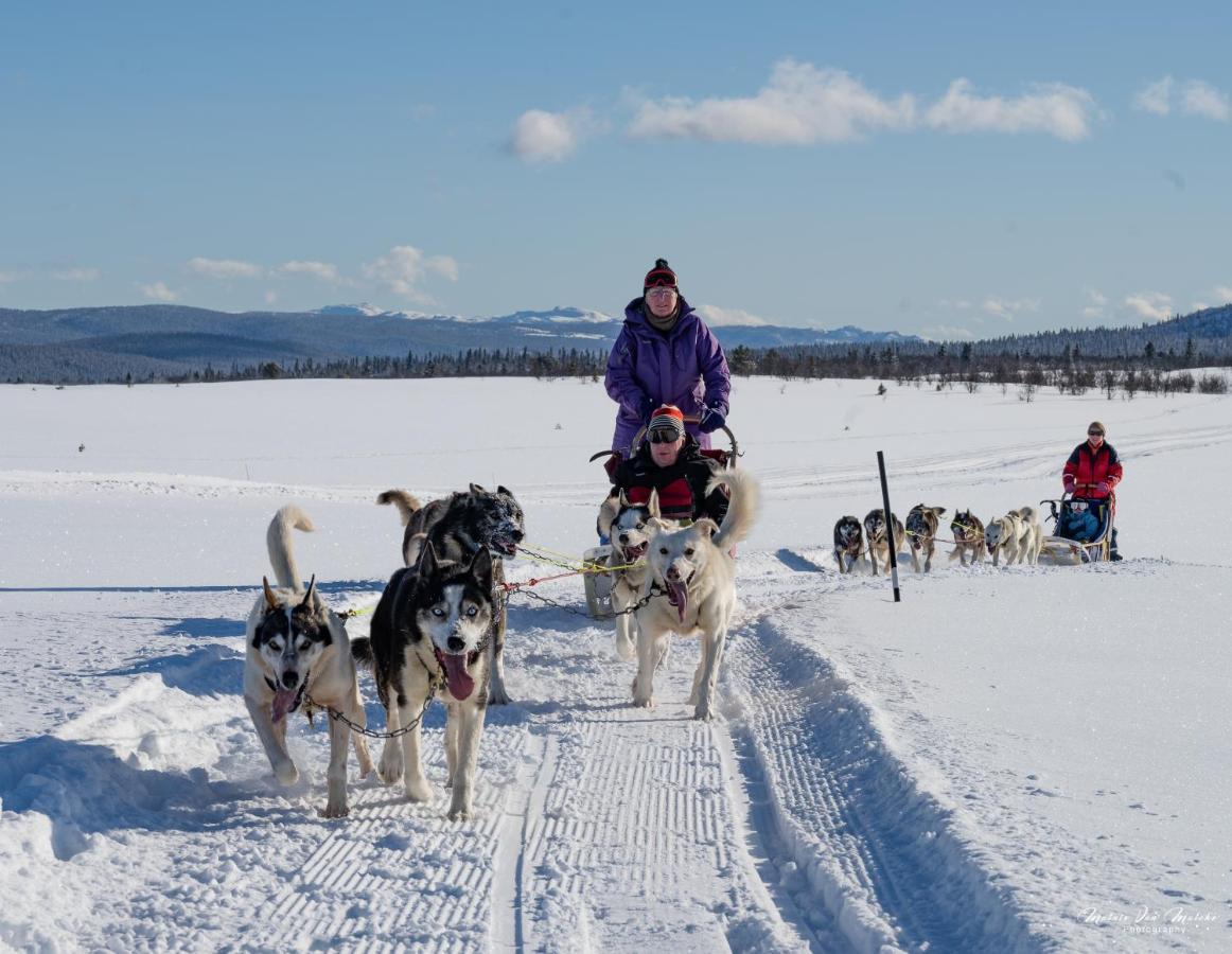 Rondane River Lodge - Rondane Gjestegard Enden Esterno foto